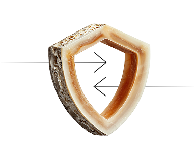 Demo
